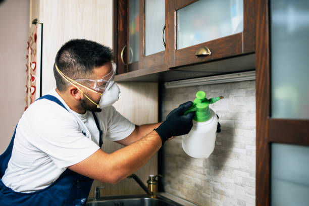 Junction City, OR Pest Control Company