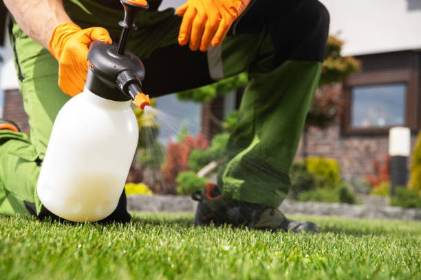 Best Ant Control Services  in Junction City, OR