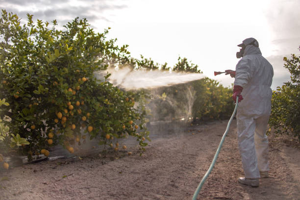Best Residential Pest Control  in Junction City, OR