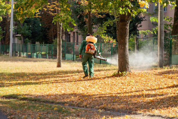 Best Rodent Control Near Me  in Junction City, OR