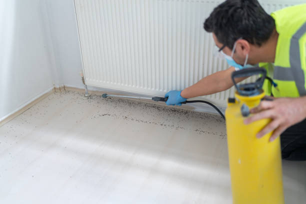 Best Affordable Pest Control Services  in Junction City, OR